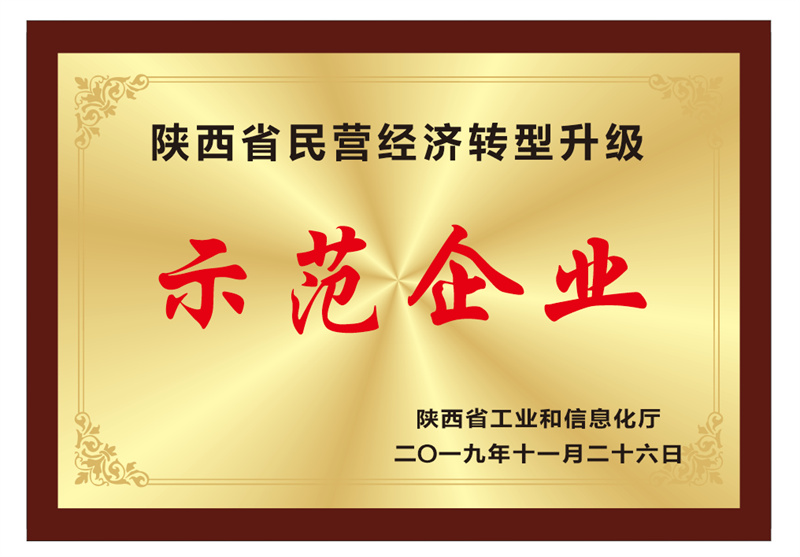 示范企业