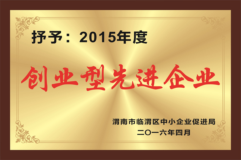 创业型企业